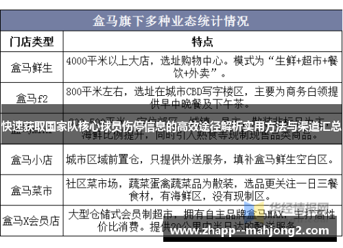 快速获取国家队核心球员伤停信息的高效途径解析实用方法与渠道汇总
